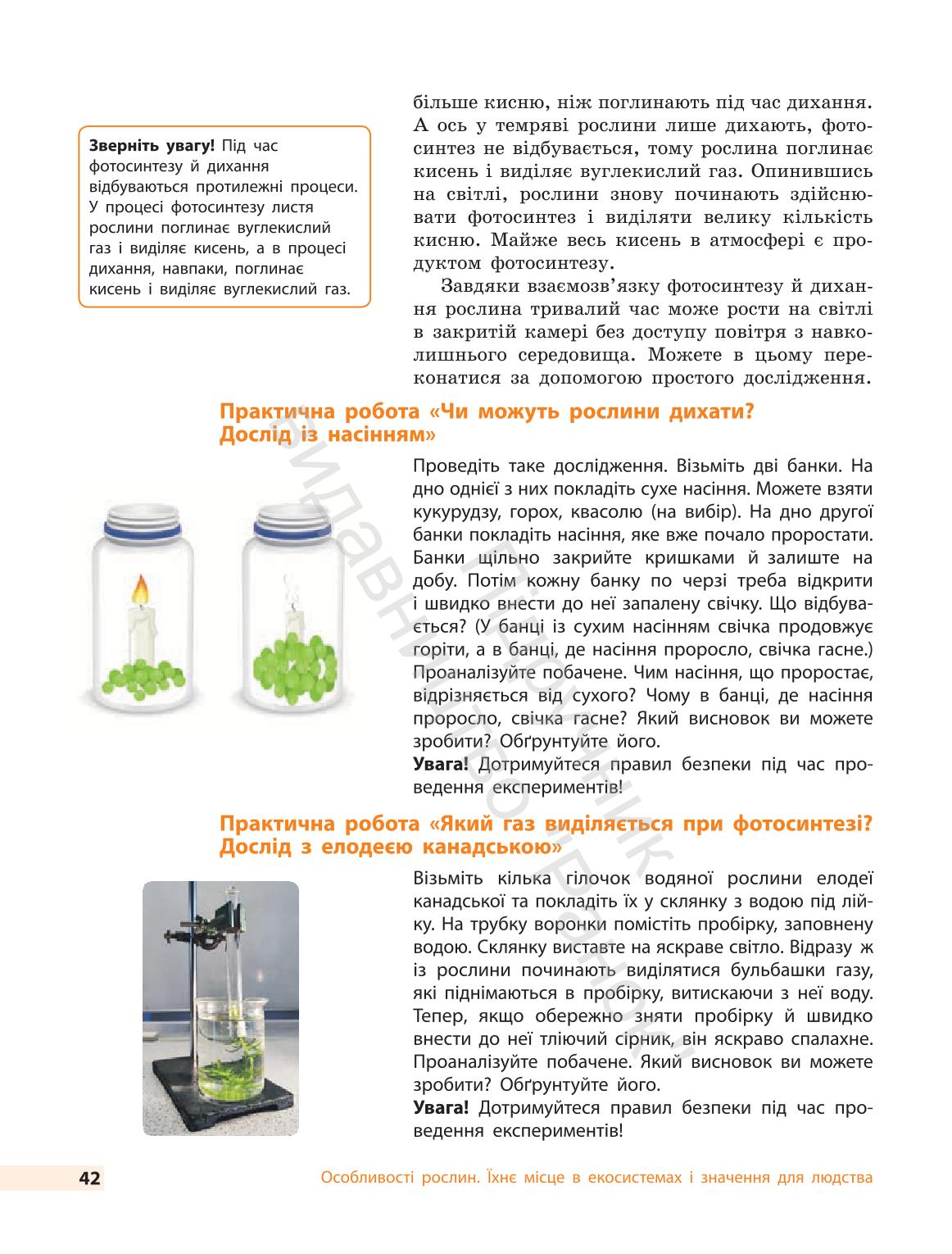 Мініатюра 42