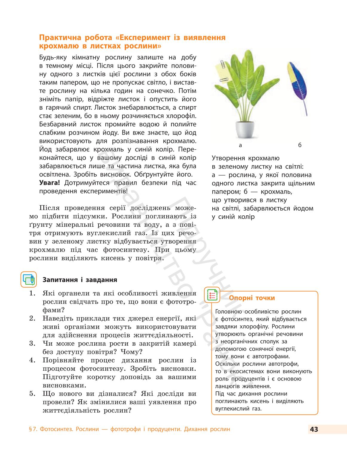 Мініатюра 43