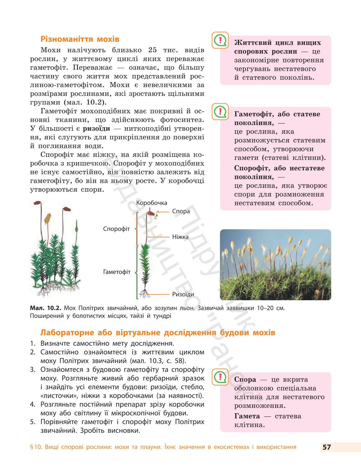 Мініатюра 57
