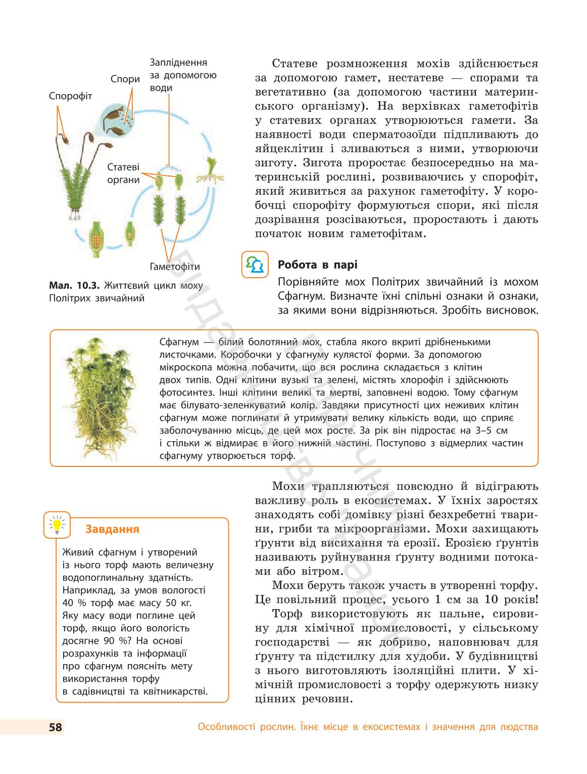 Мініатюра 58