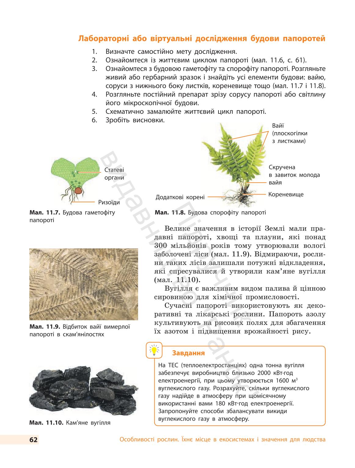 Мініатюра 62