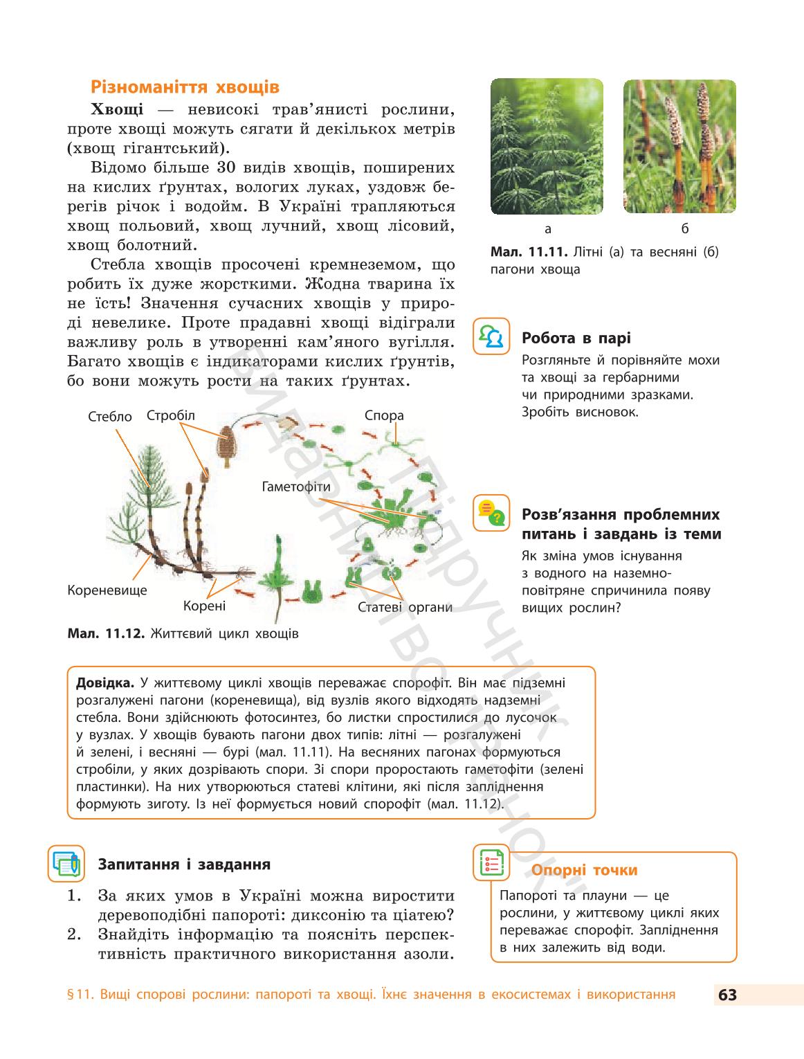 Мініатюра 63