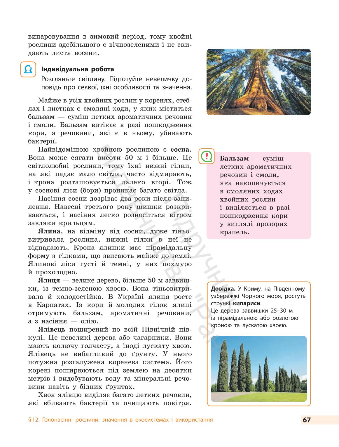 Мініатюра 67