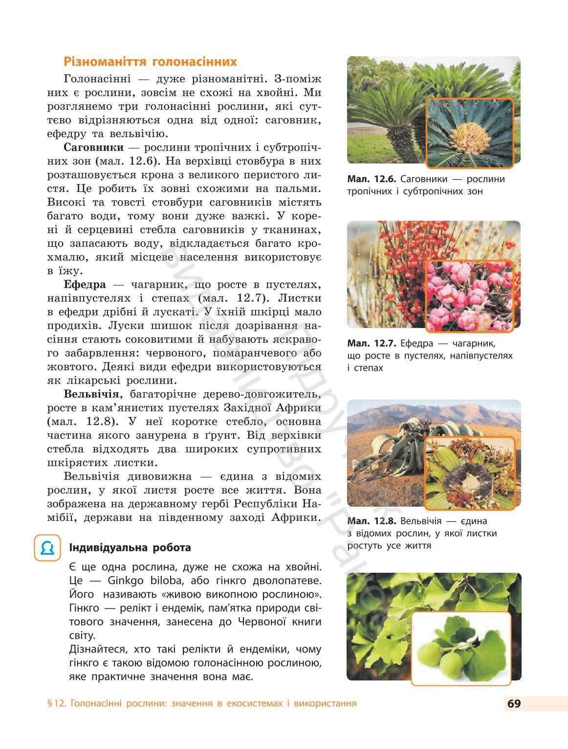 Мініатюра 69