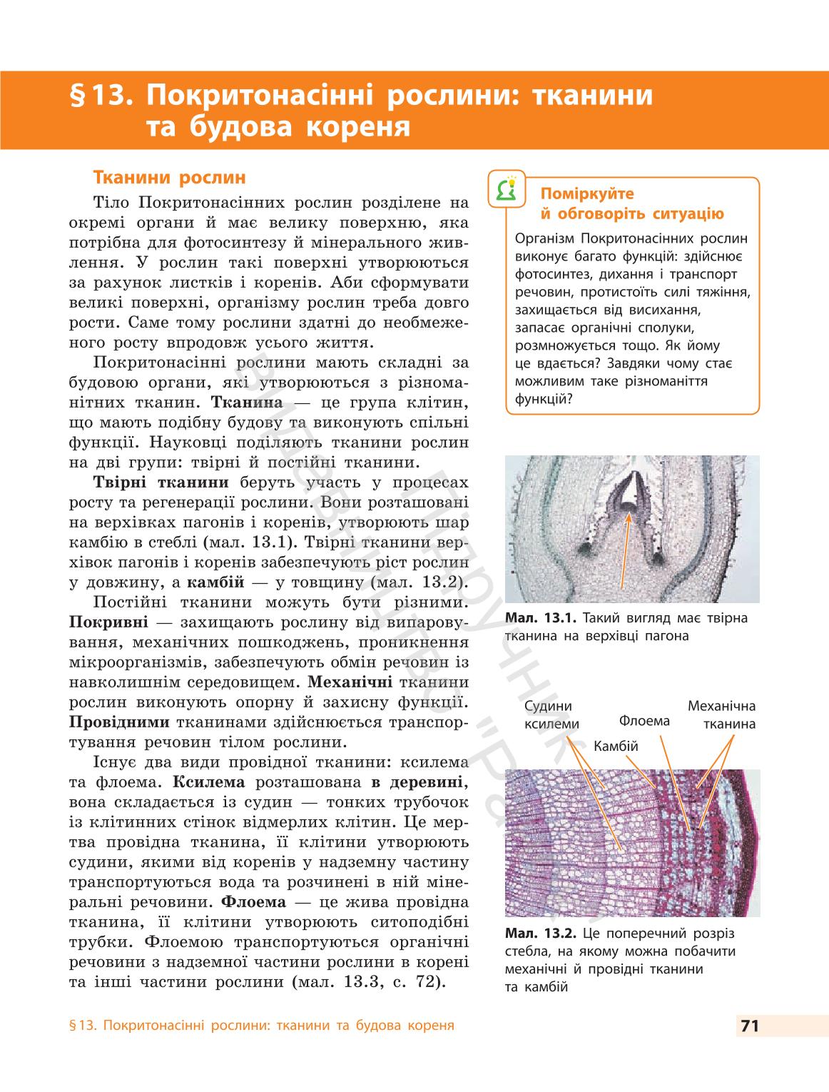 Мініатюра 71