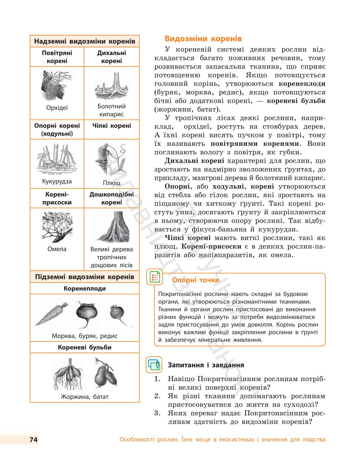 Мініатюра 74
