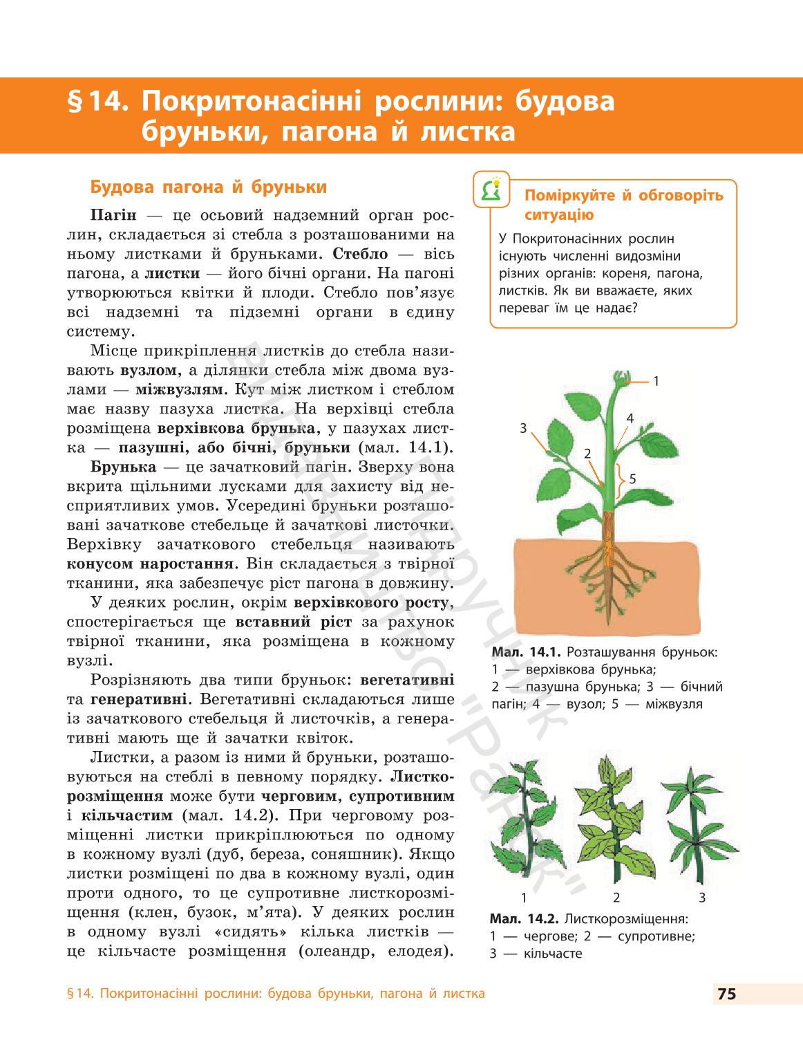 Мініатюра 75