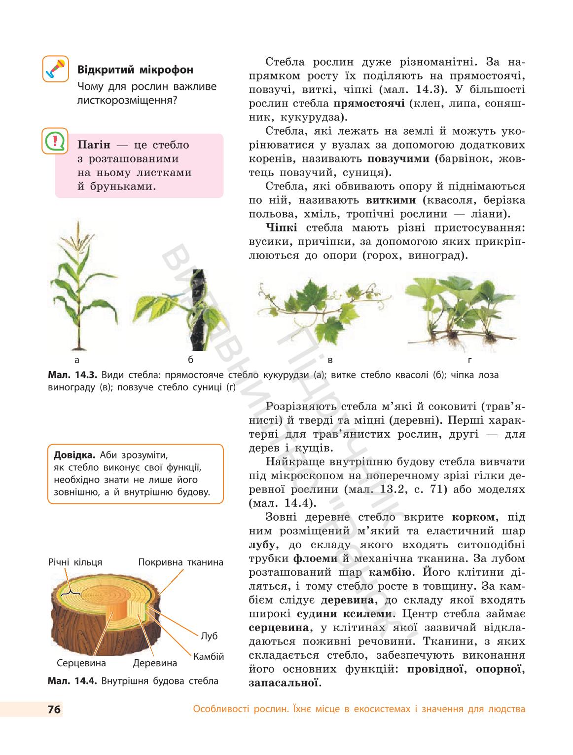 Мініатюра 76