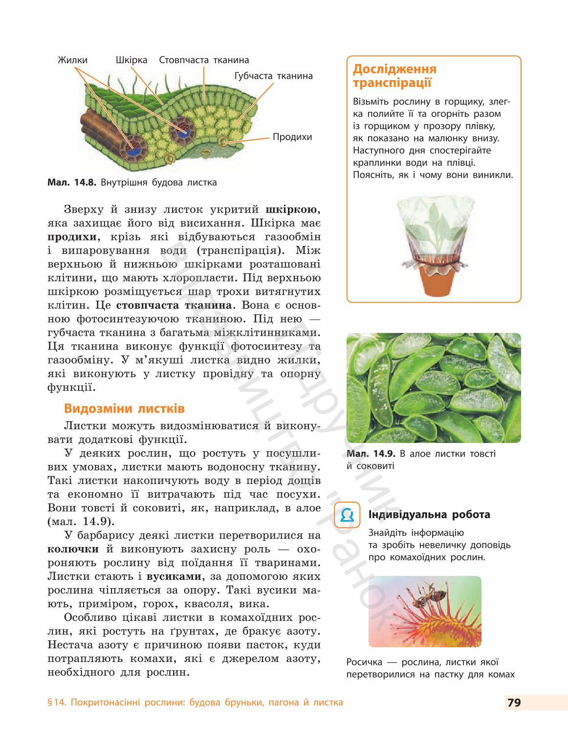 Мініатюра 79