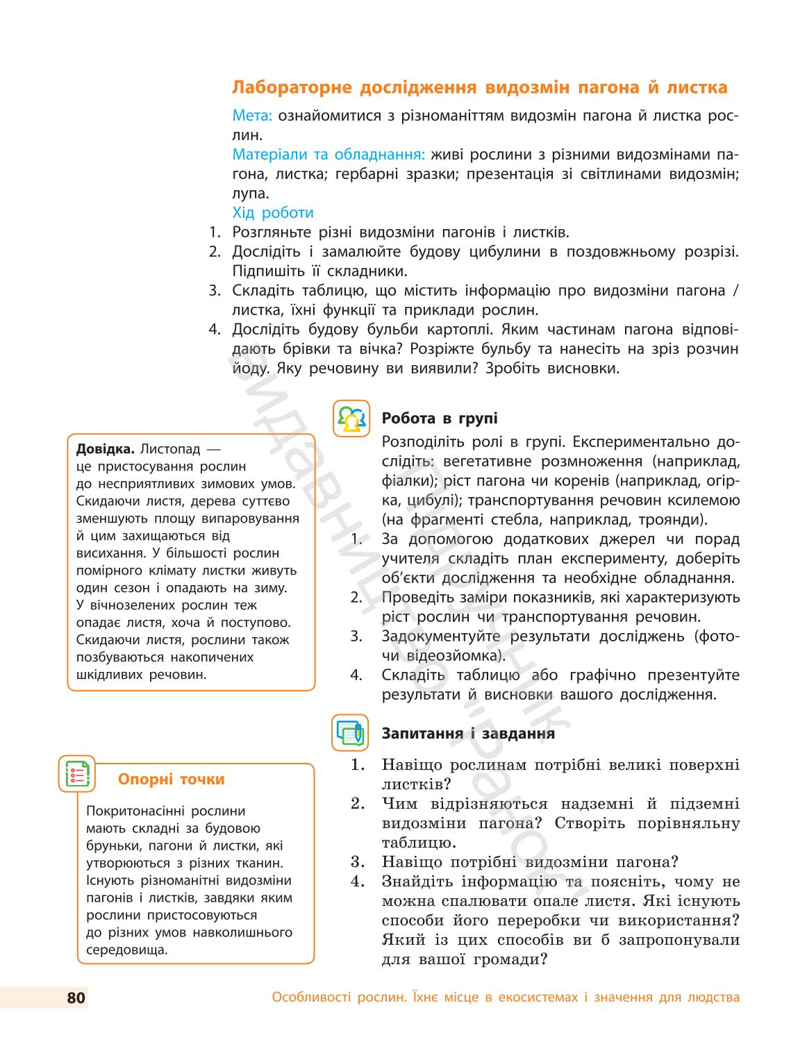 Мініатюра 80