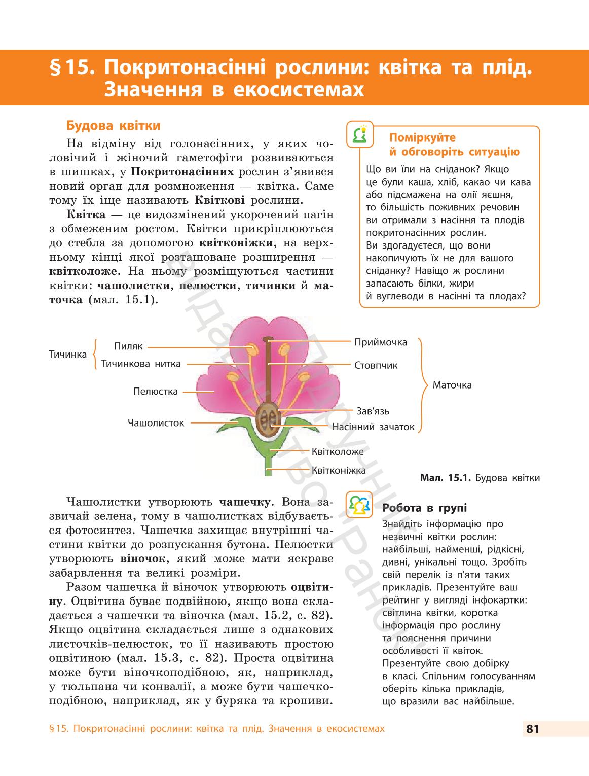 Мініатюра 81