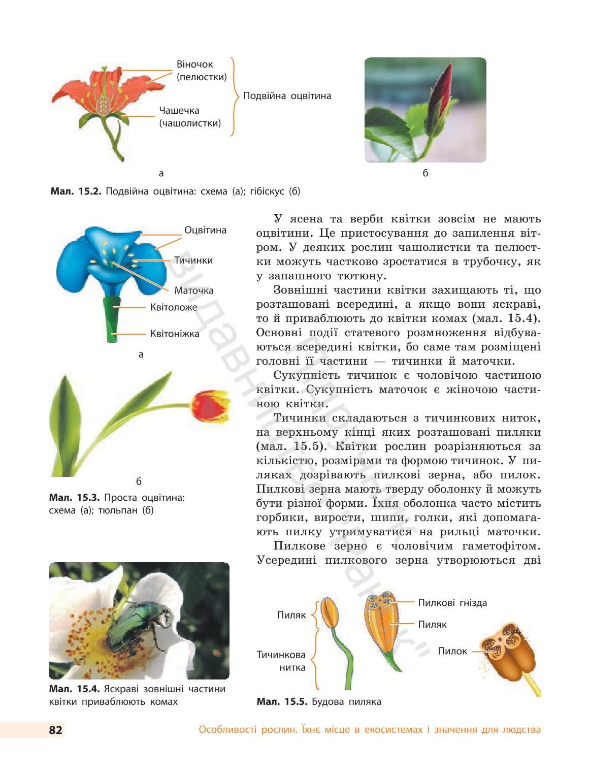 Мініатюра 82