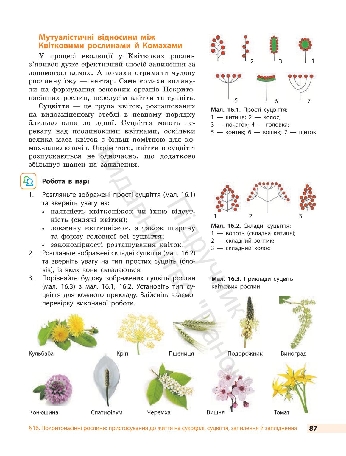 Мініатюра 87