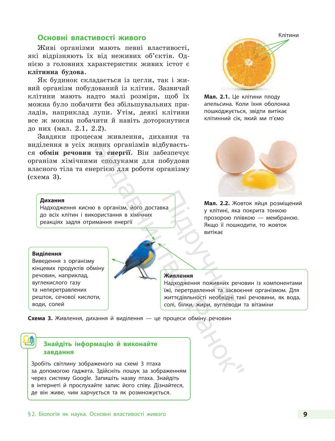 Мініатюра 9