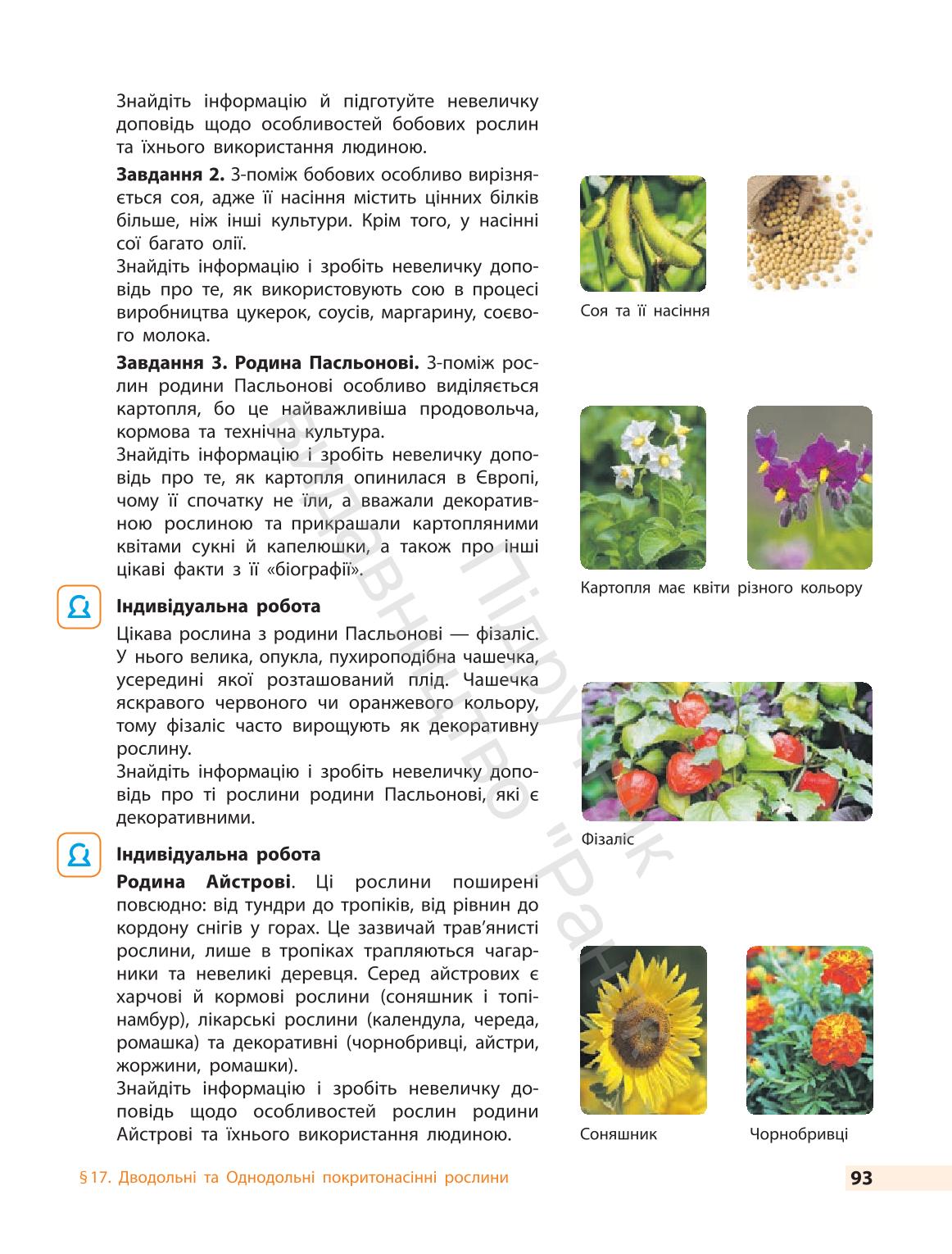 Мініатюра 93