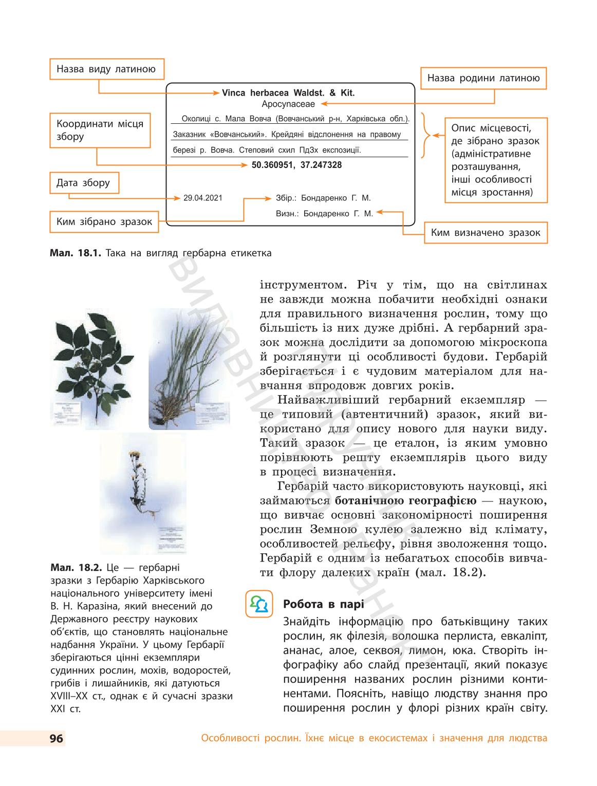 Мініатюра 96