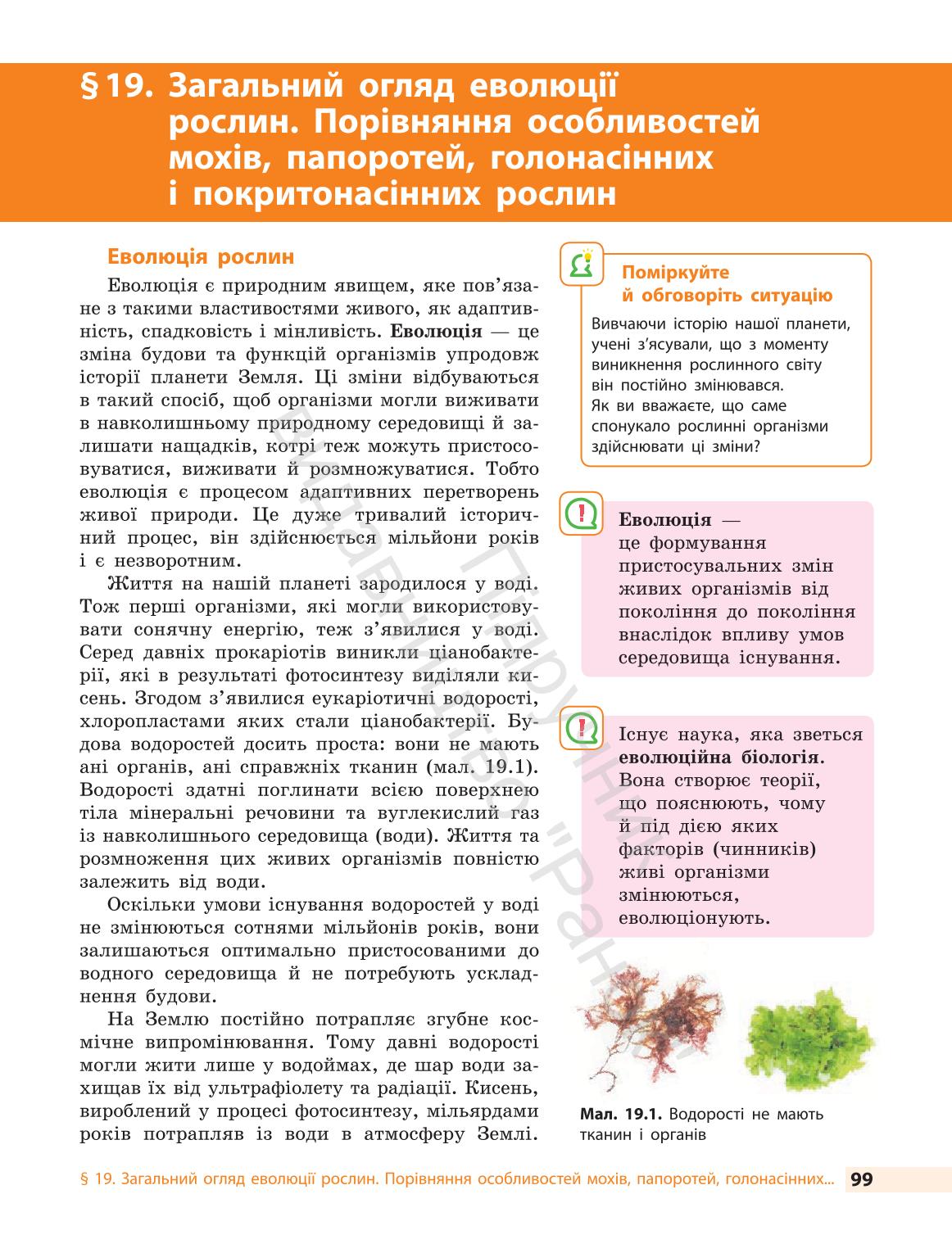 Мініатюра 99