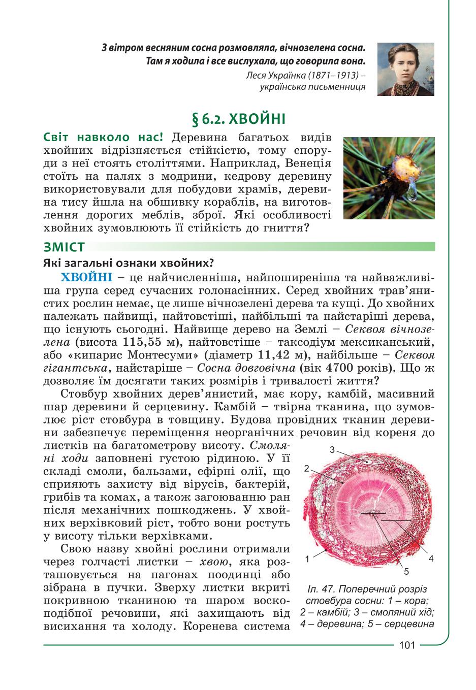 Мініатюра 101