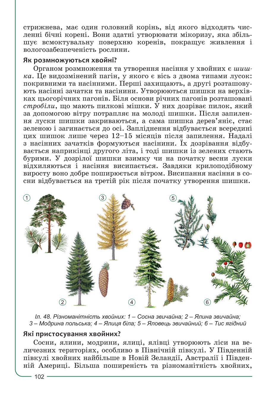 Мініатюра 102