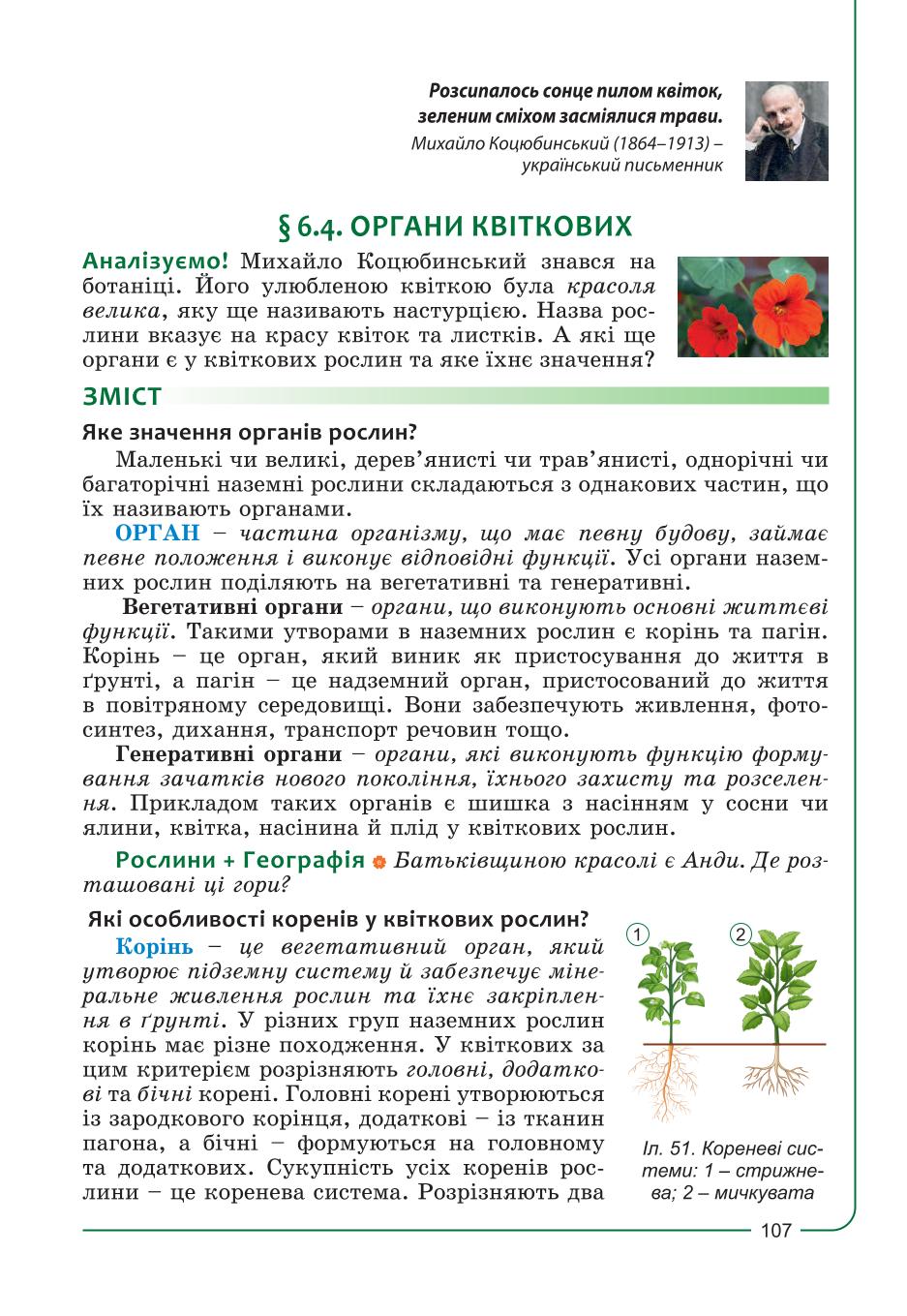 Мініатюра 107