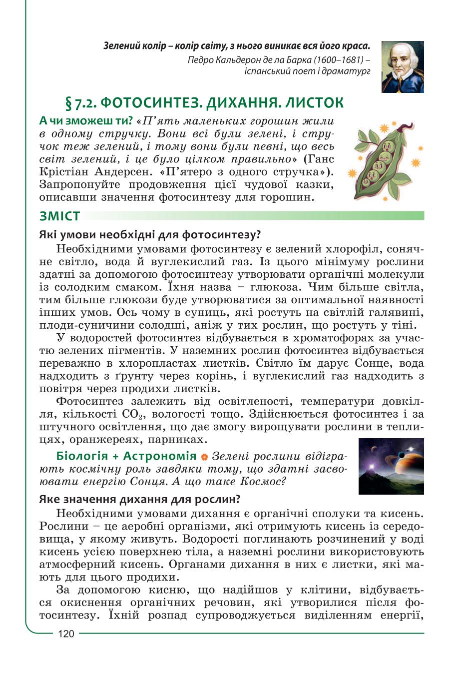 Мініатюра 120