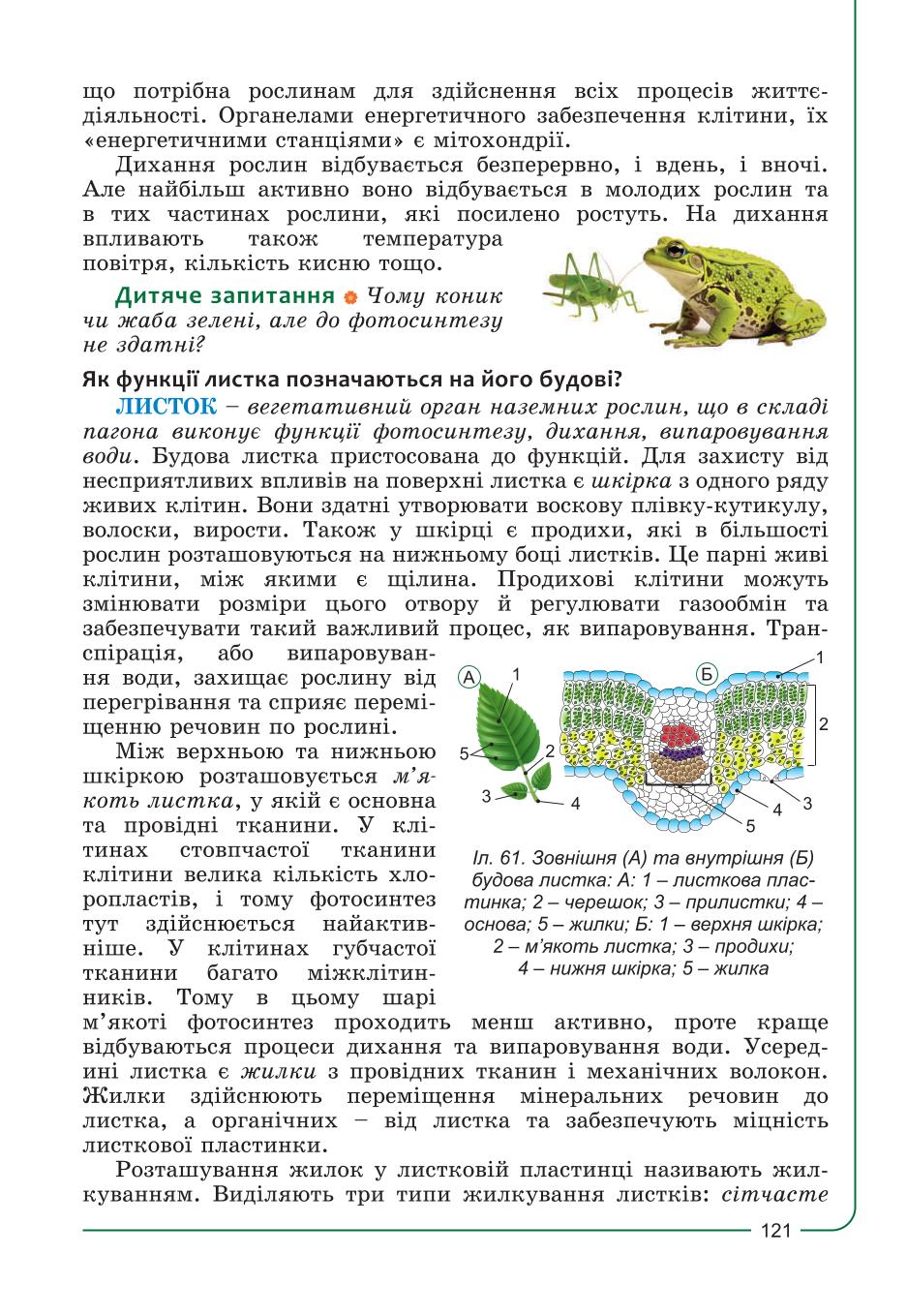 Мініатюра 121