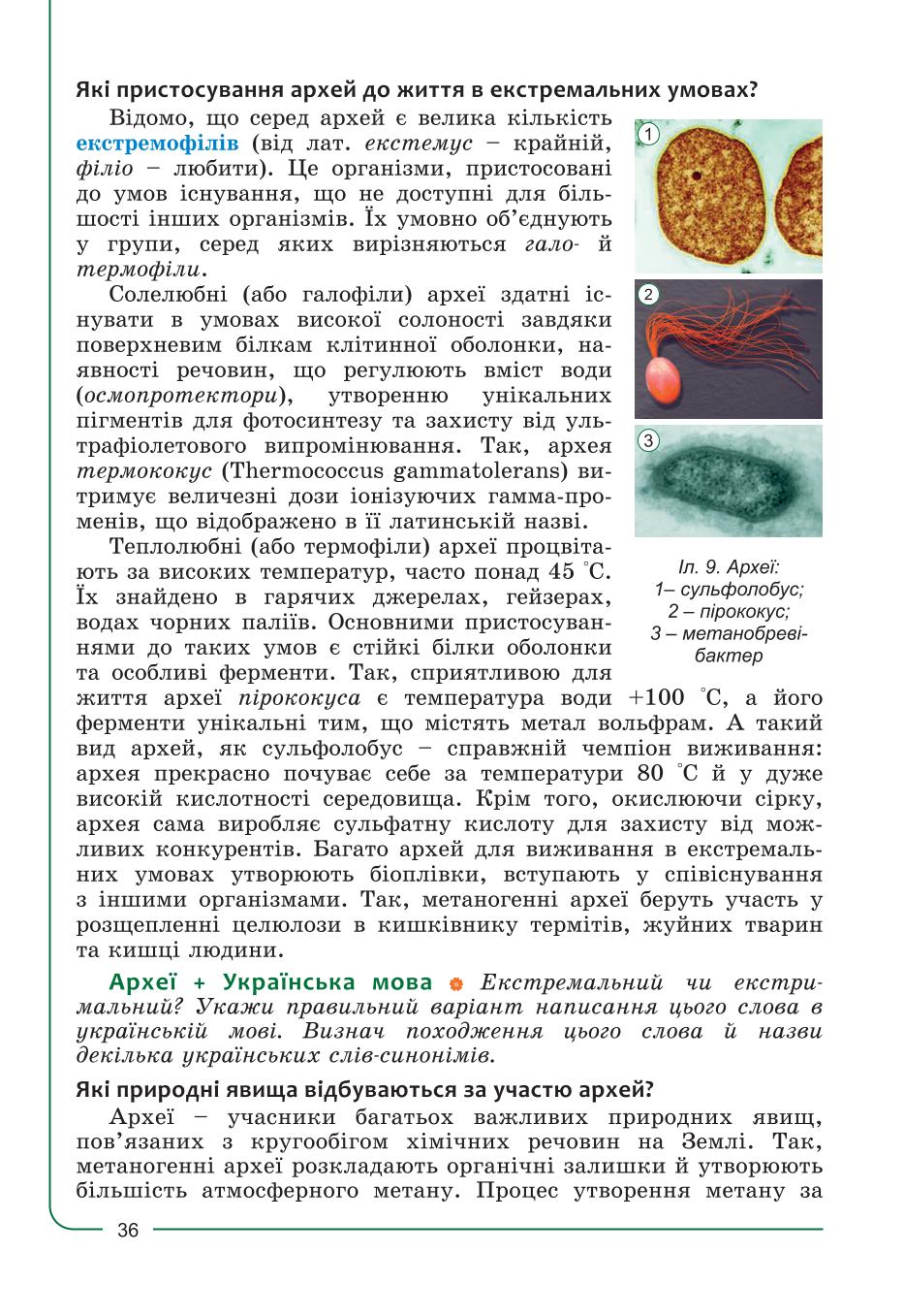 Мініатюра 36