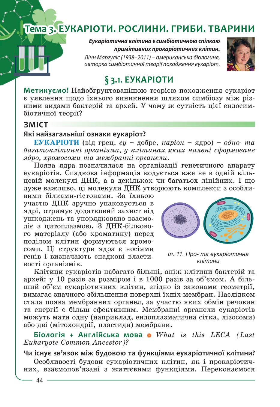 Мініатюра 44