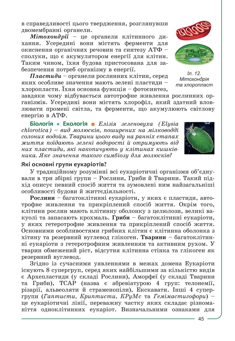 Мініатюра 45