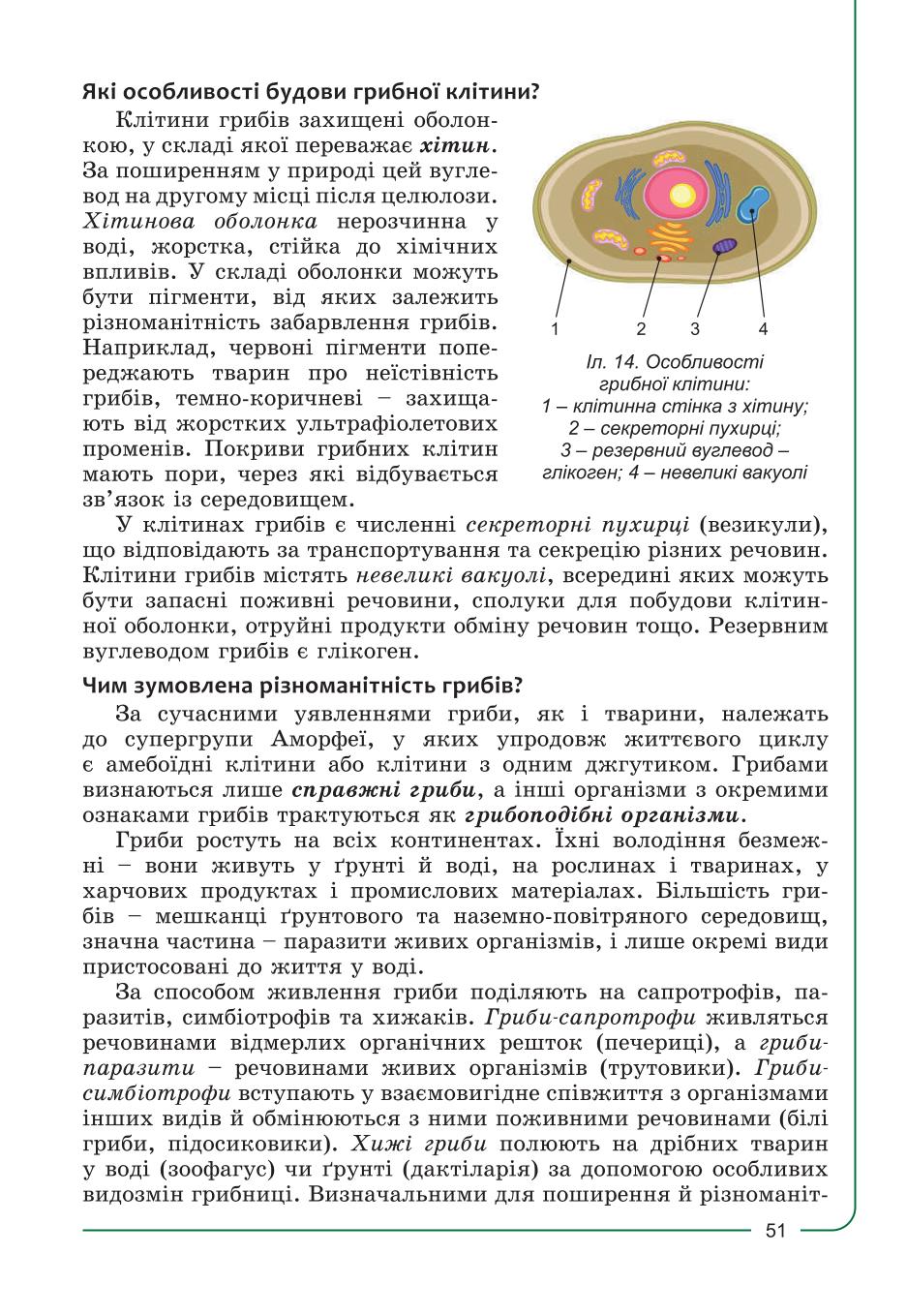 Мініатюра 51