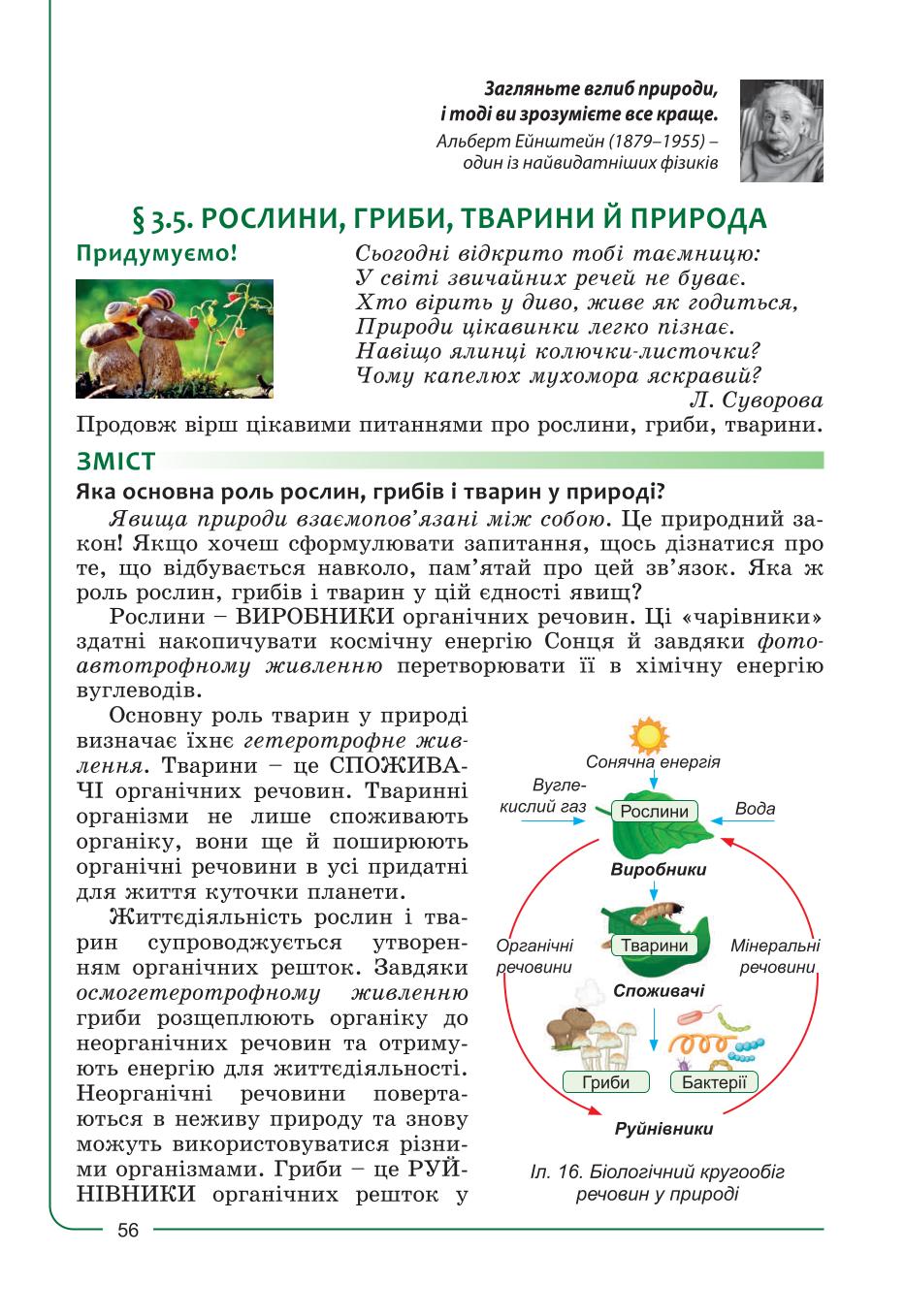 Мініатюра 56