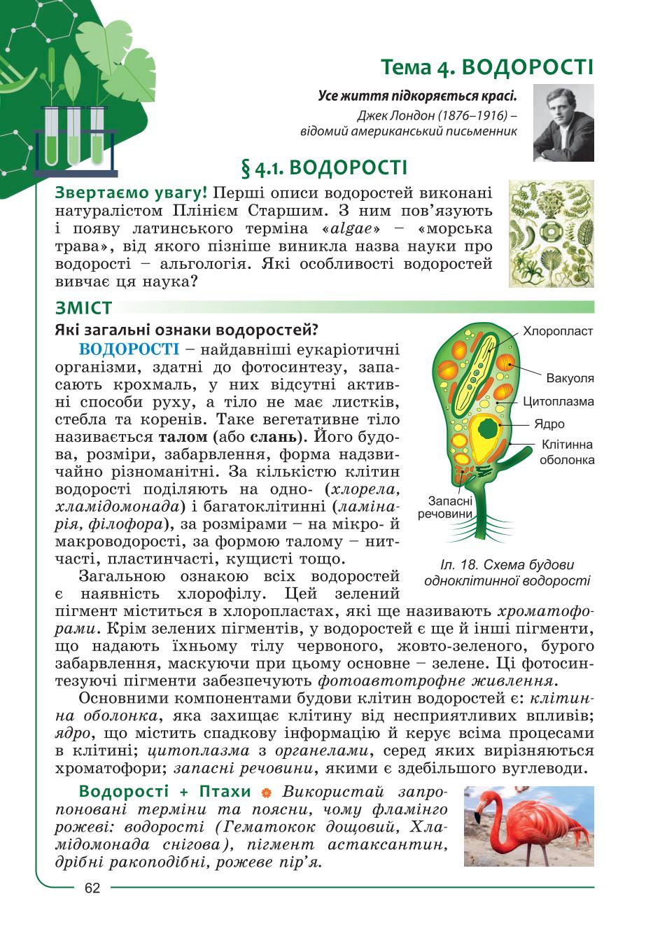 Мініатюра 62