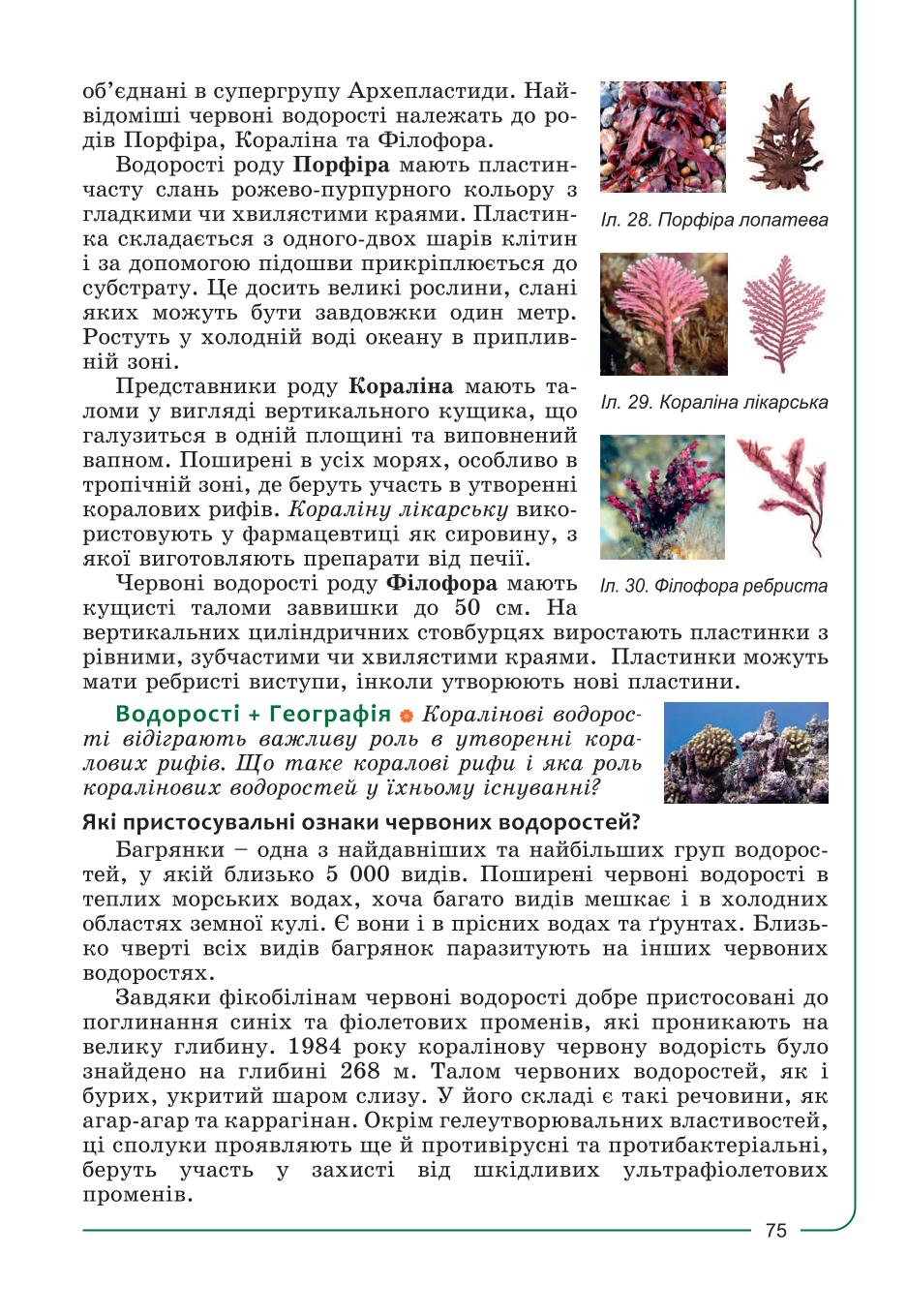 Мініатюра 75
