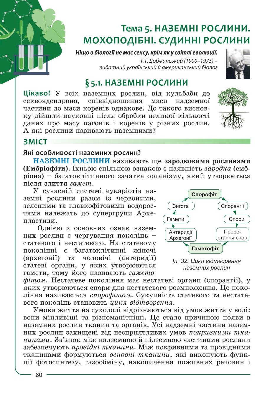 Мініатюра 80
