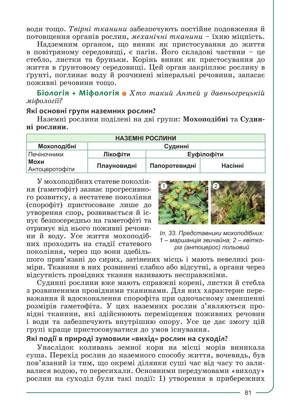 Мініатюра 81
