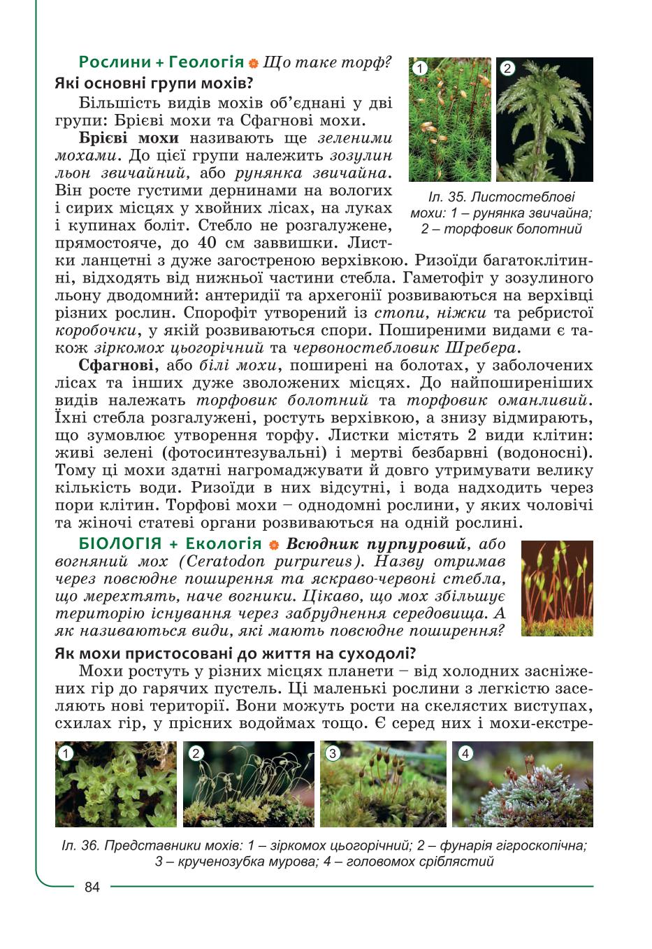 Мініатюра 84