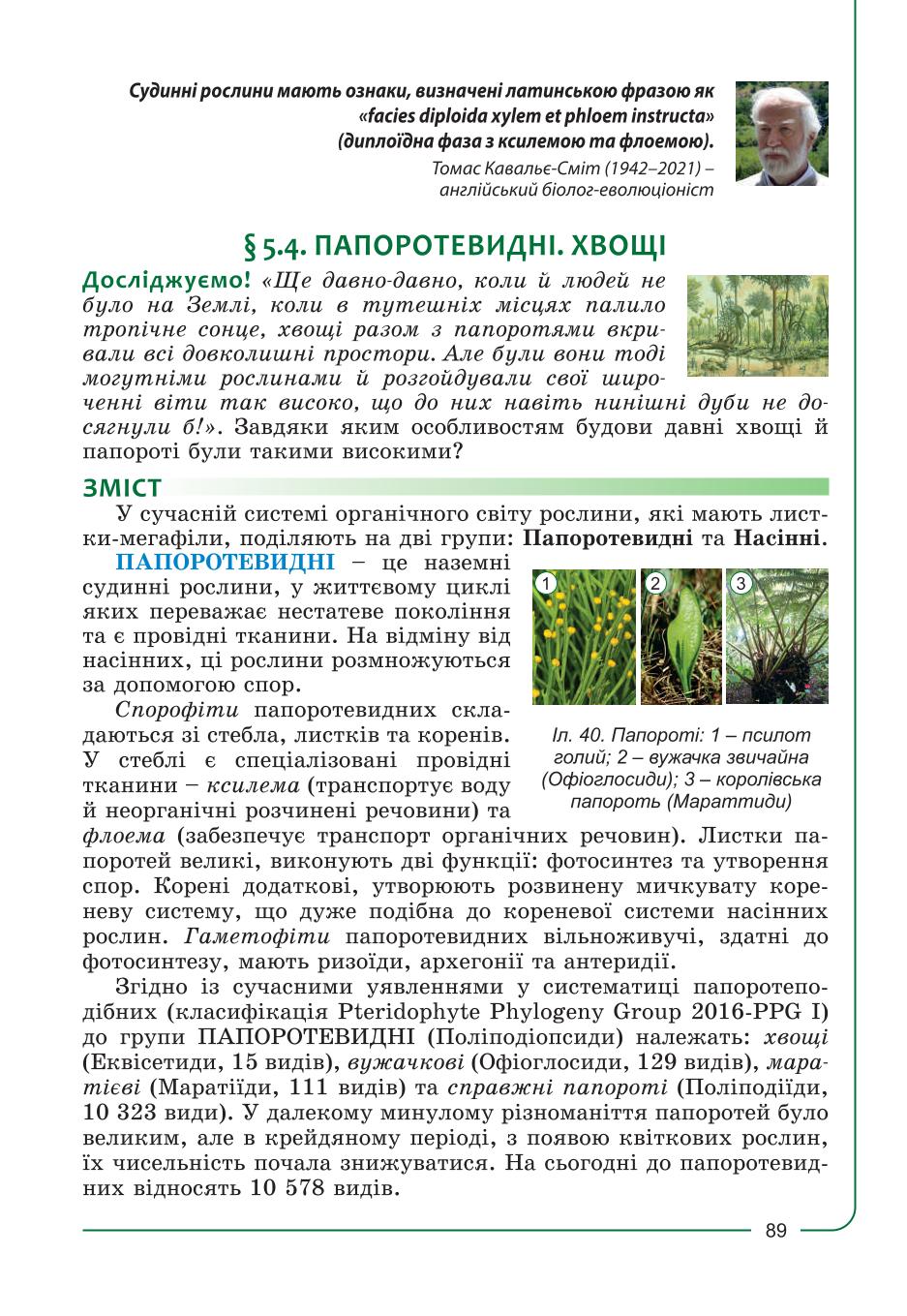 Мініатюра 89