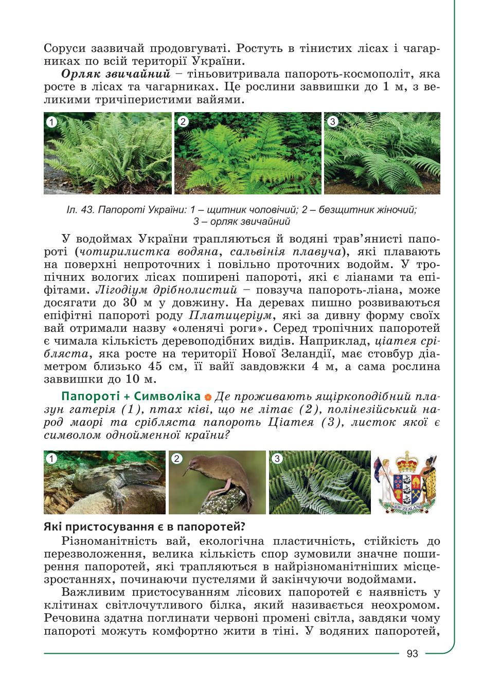 Мініатюра 93