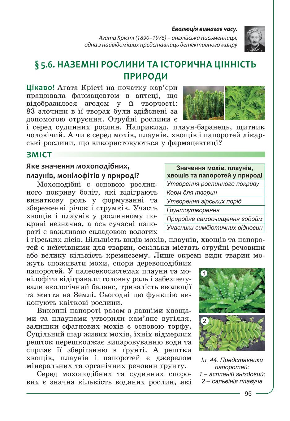 Мініатюра 95