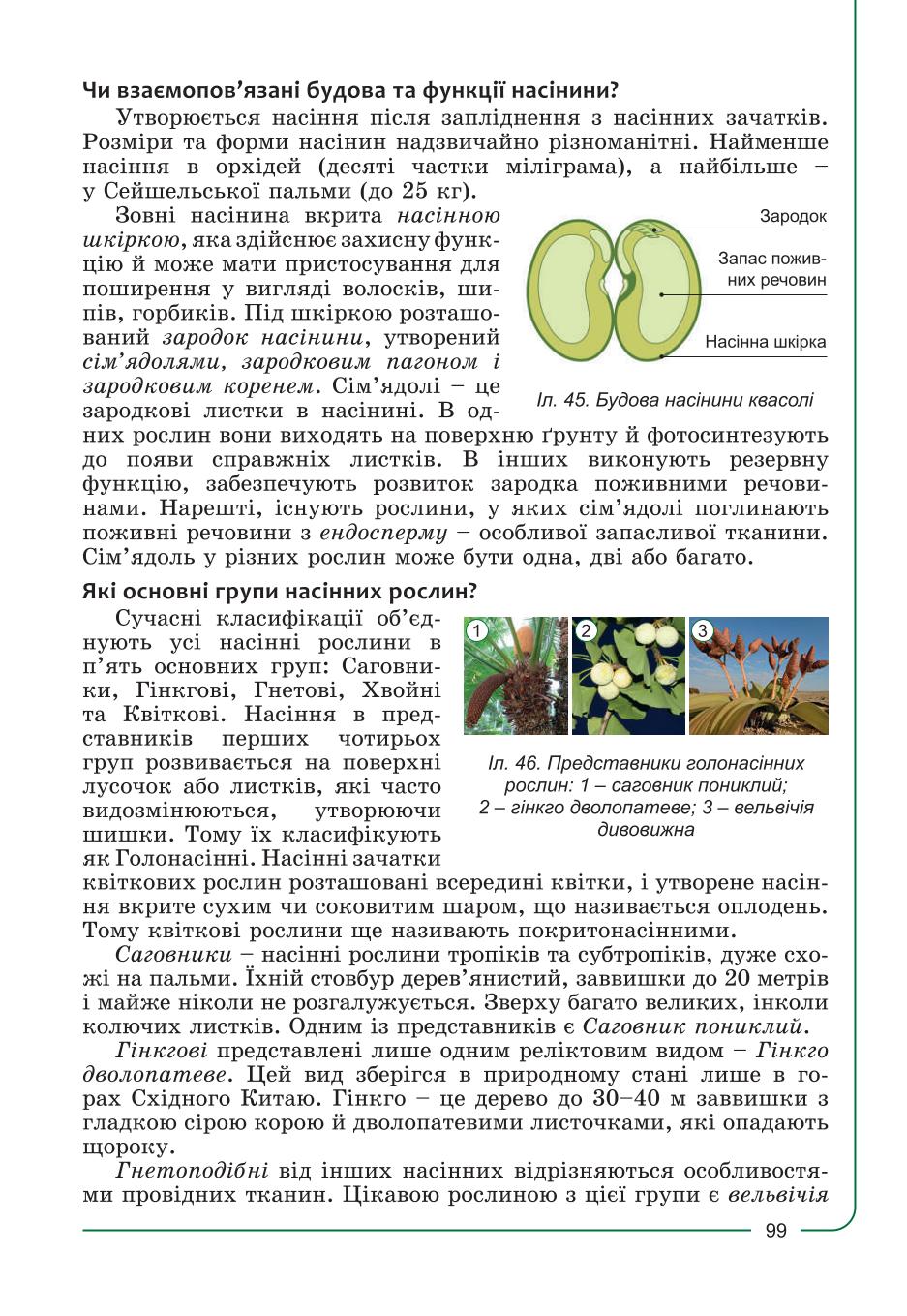 Мініатюра 99
