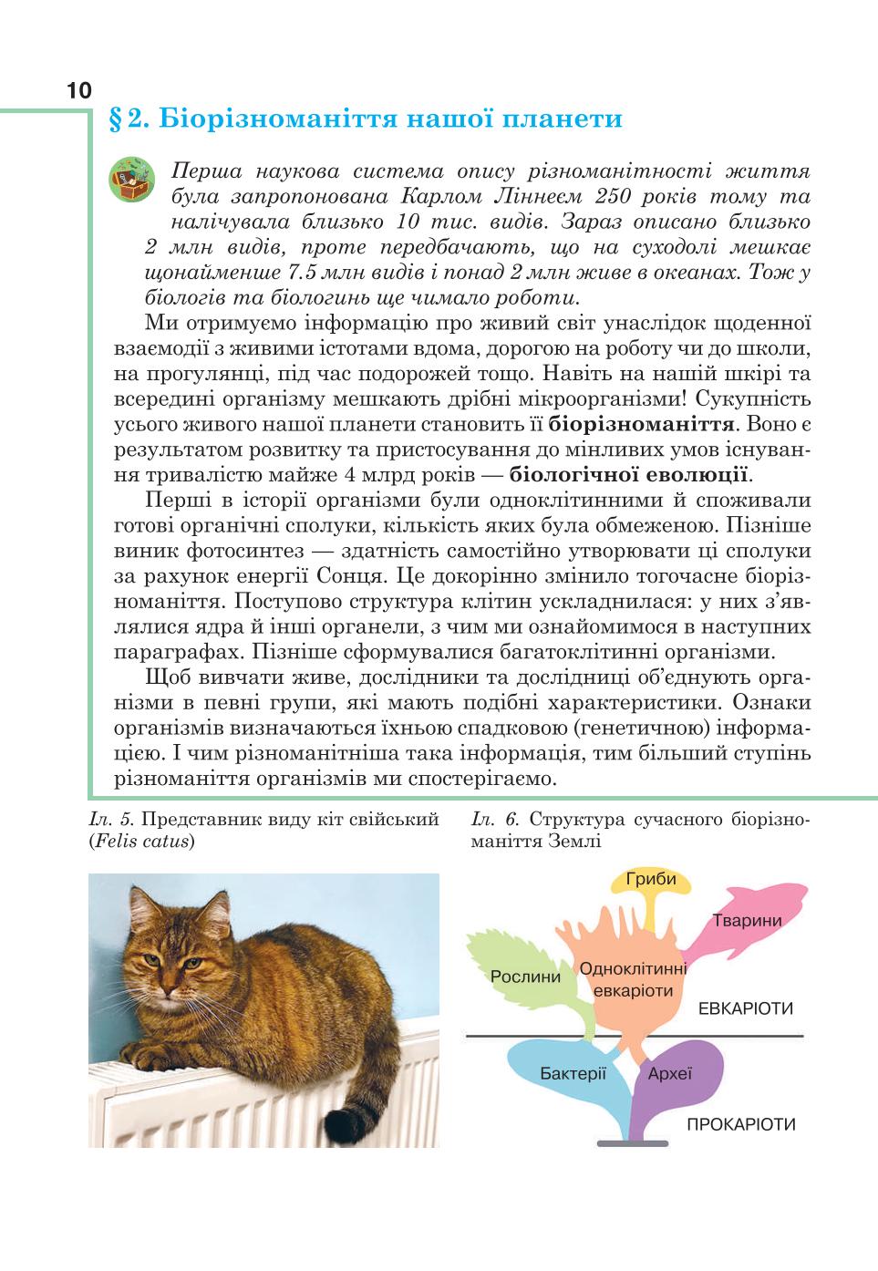 Мініатюра 10