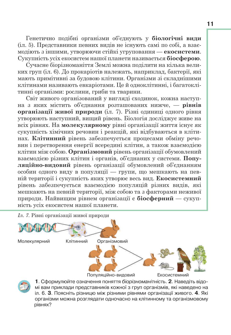 Мініатюра 11
