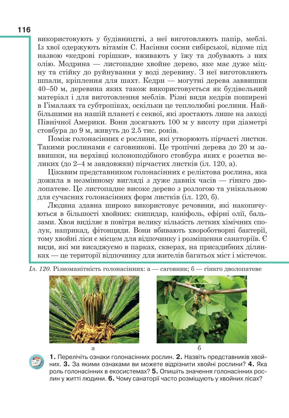 Мініатюра 116
