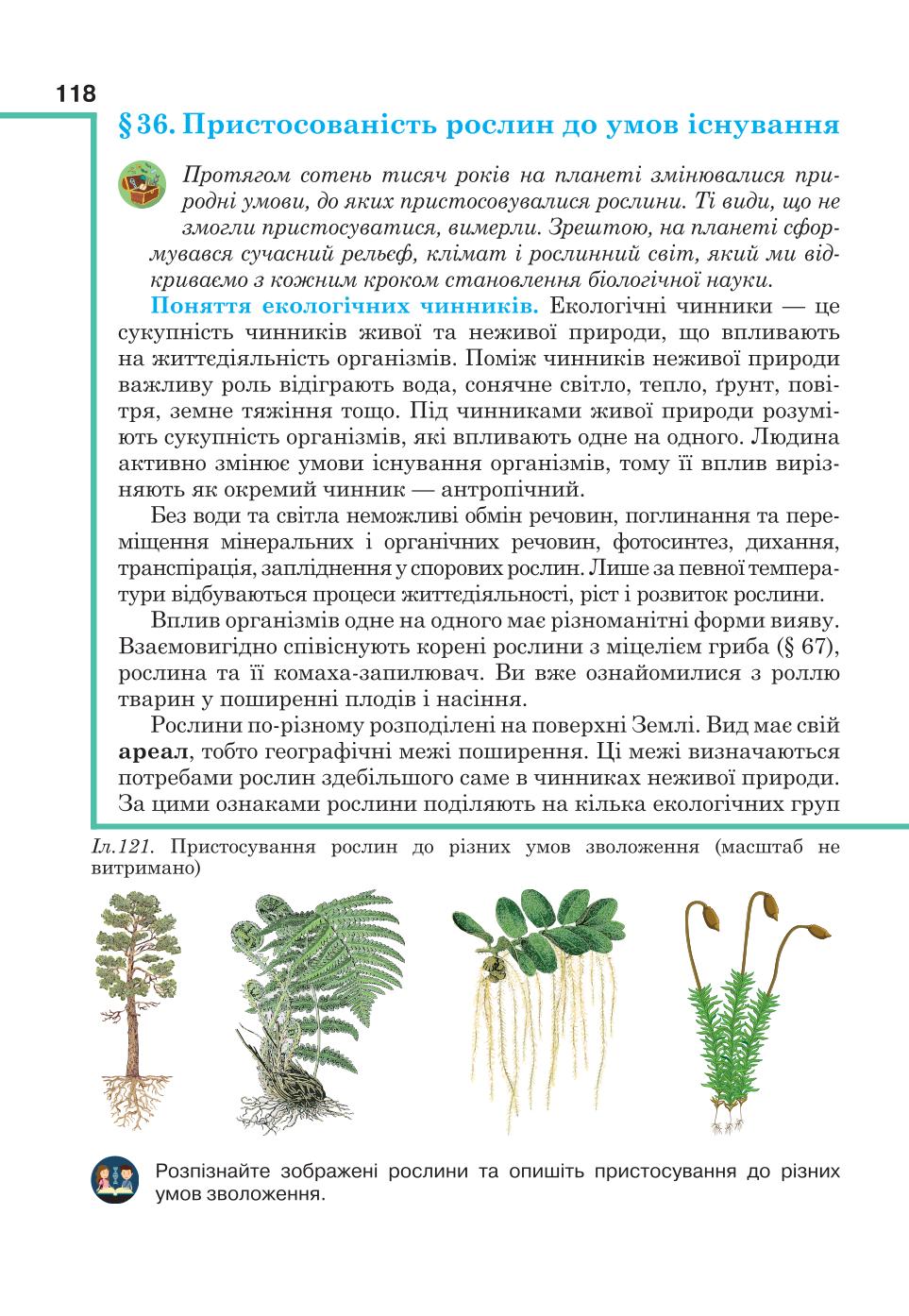 Мініатюра 118