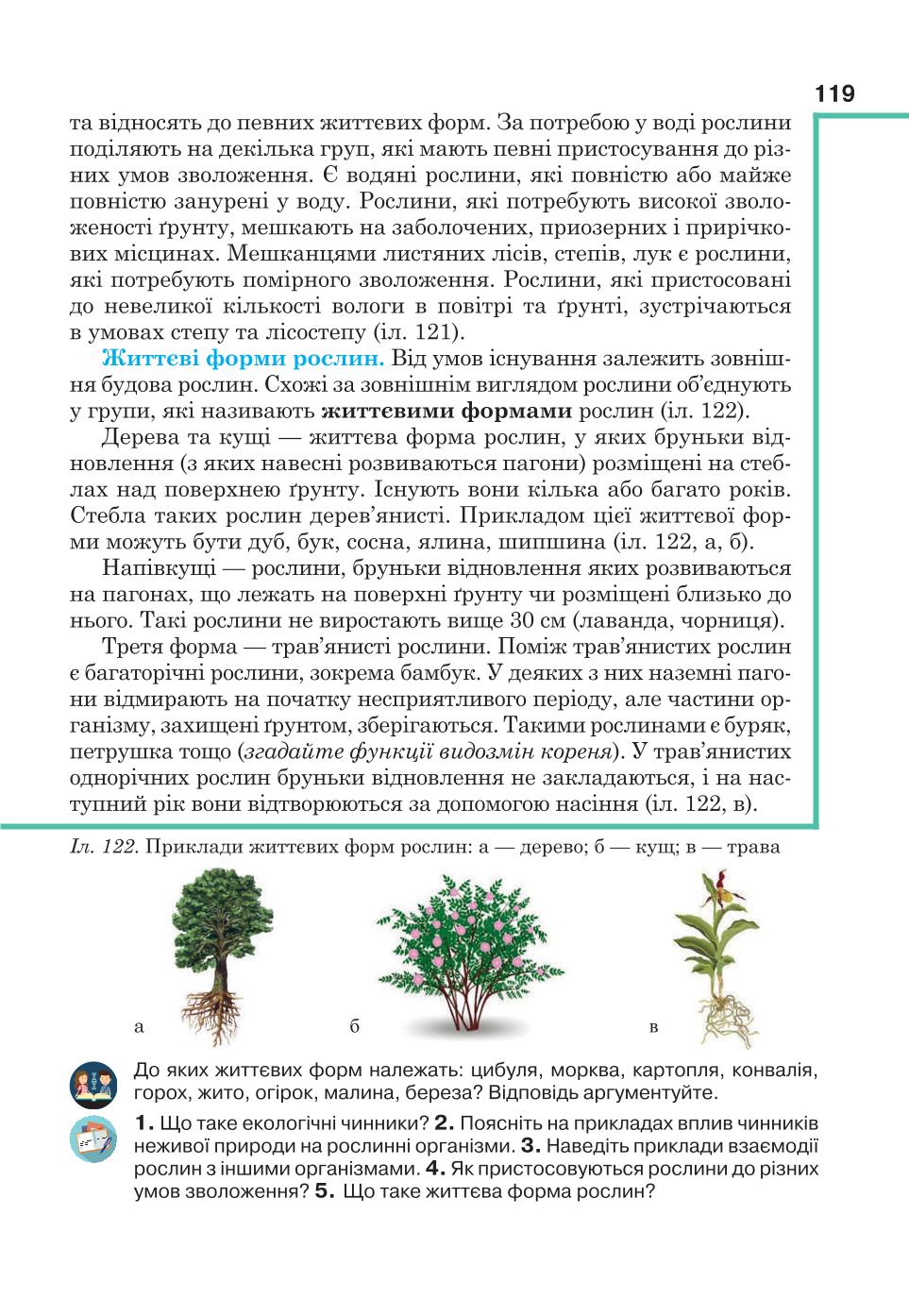 Мініатюра 119