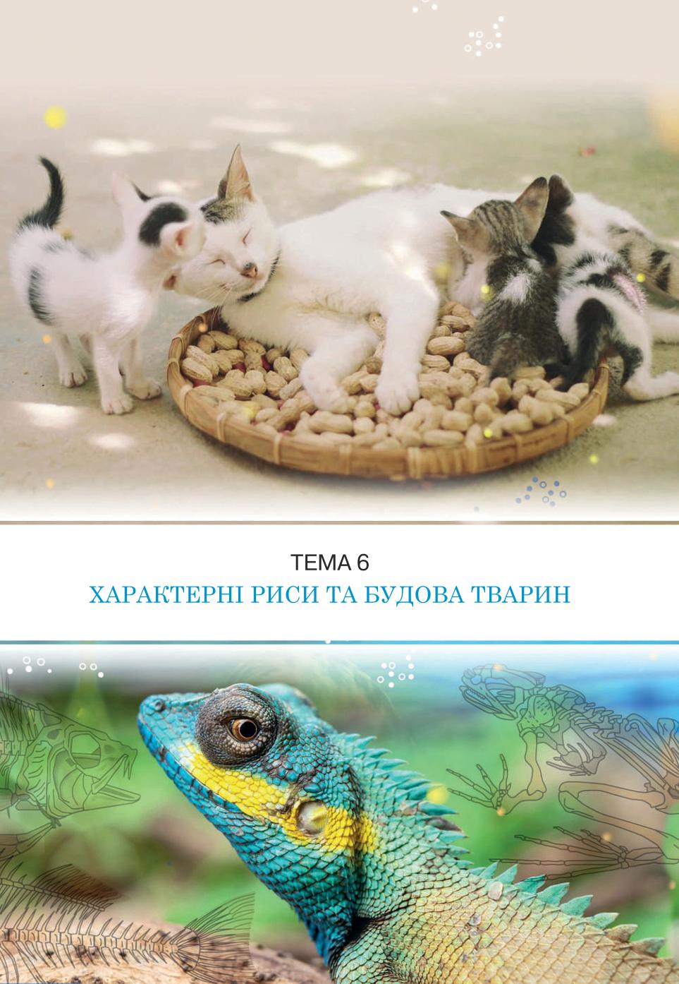 Мініатюра 125
