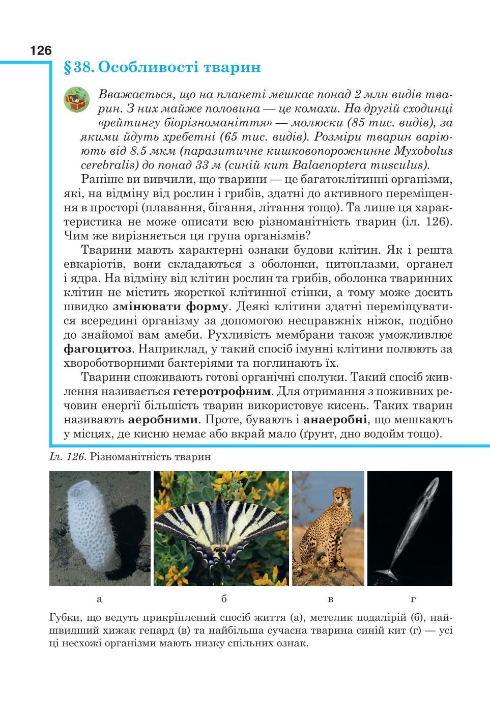 Мініатюра 126