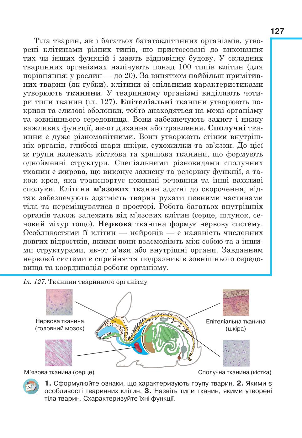 Мініатюра 127