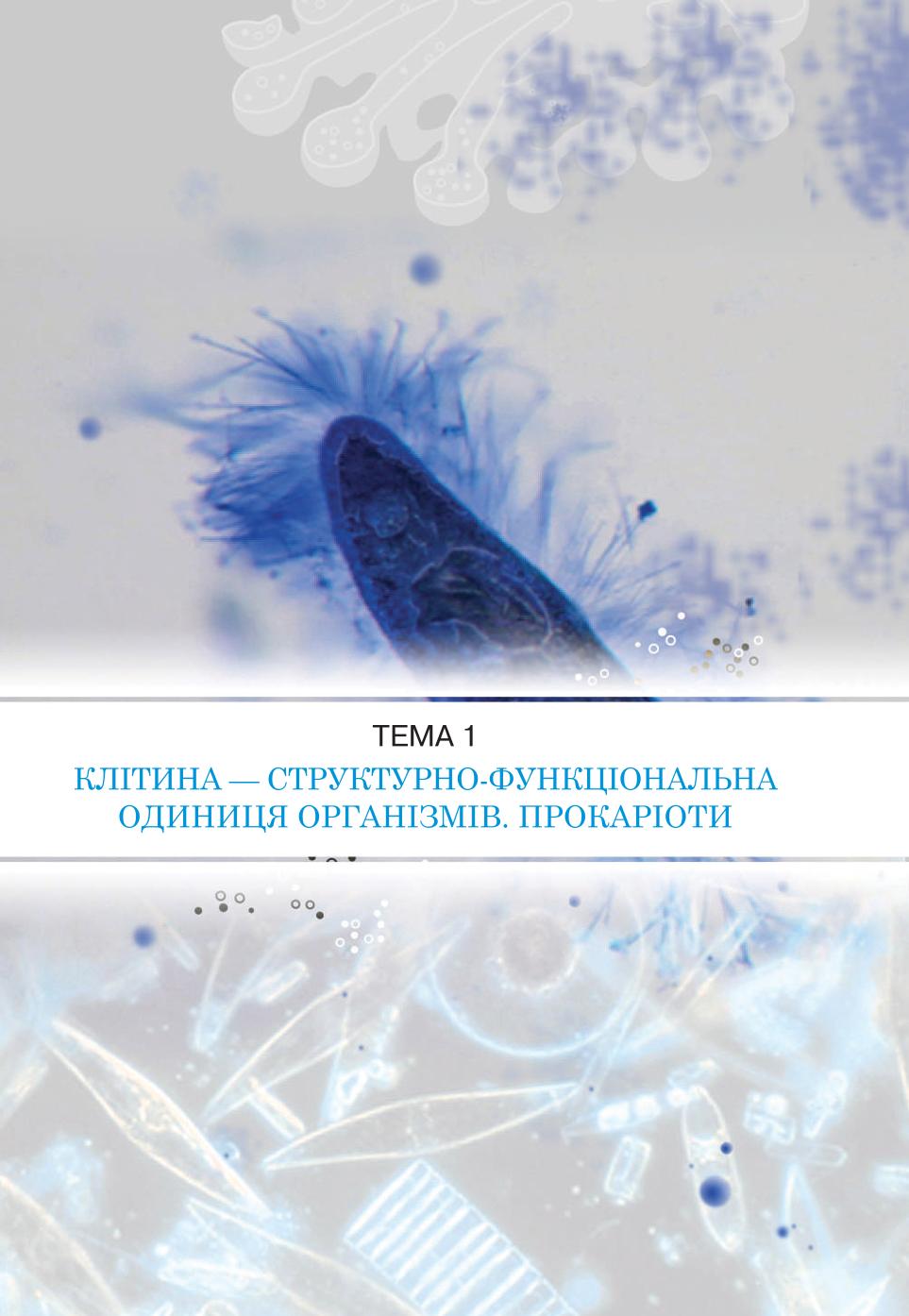 Мініатюра 17
