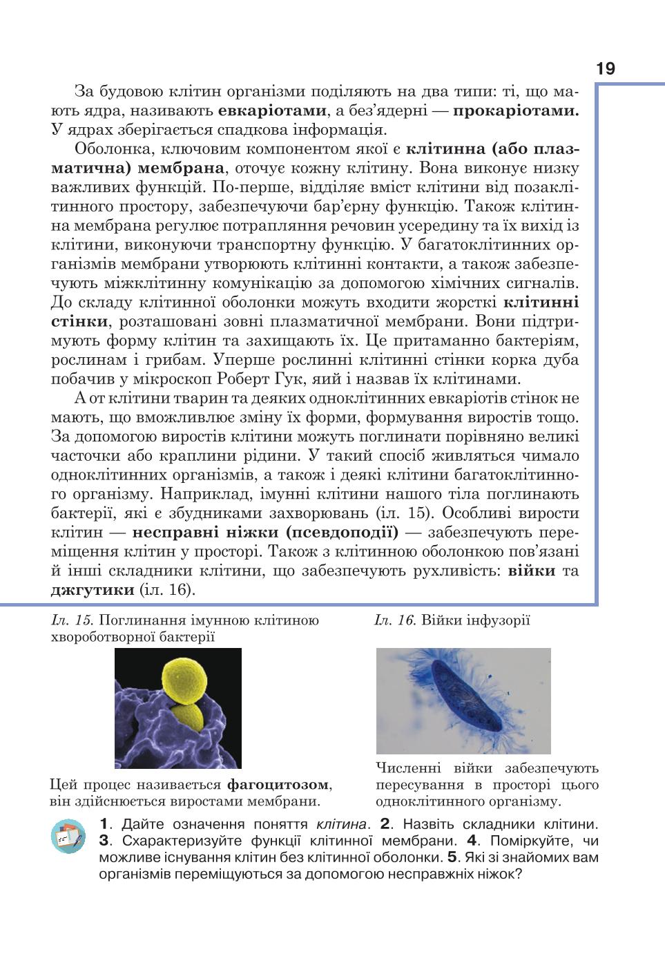 Мініатюра 19